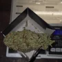 Насіння конопель Bruce Banner від Barney's Farm